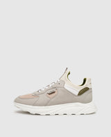 Larch VE - Vert clair