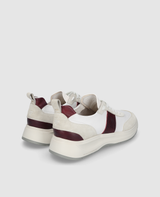 Toronto Sneaker CL - Blanc/Bordeaux