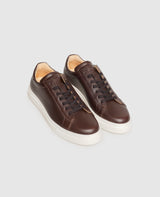 Travis LTS - Brun foncé