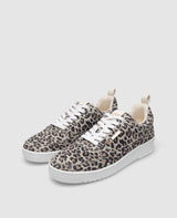 Bball M AA - Léopard