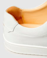 Brouillon Original DH - Blanc