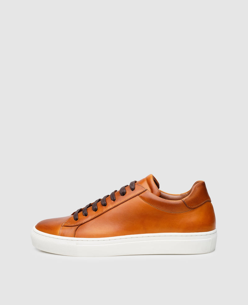 Non. 120 MS - Cognac