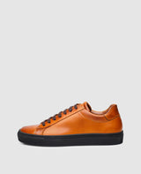 Non. 122 MS - Cognac