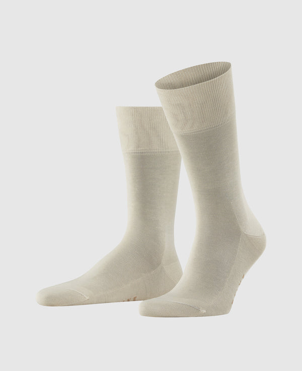 Falke »Tiago« court - nature