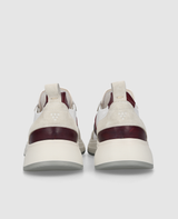 Toronto Sneaker CL - Blanc/Bordeaux