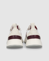 Toronto Sneaker CL - Blanc/Bordeaux