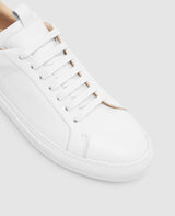 Turin Court Sneaker NP - es

Blanc