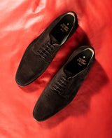 Marshall PD - Brun foncé