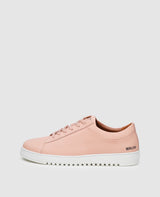 Non. 29 WS - Rosa