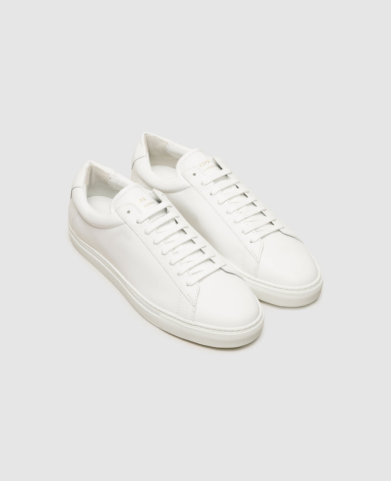 ZSP4 - blanc