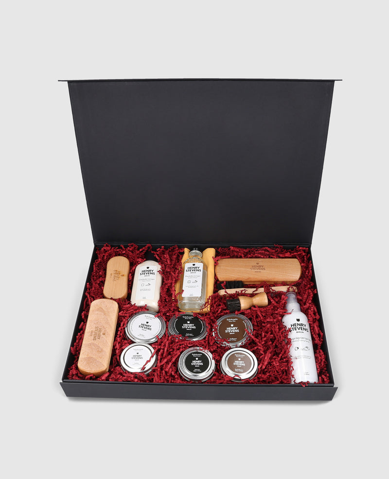 Ensemble de soins pour chaussures haut de gamme